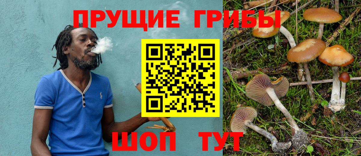 Пугачёв  Галлюциногенные грибы прущие грибы  Вход с VPN 