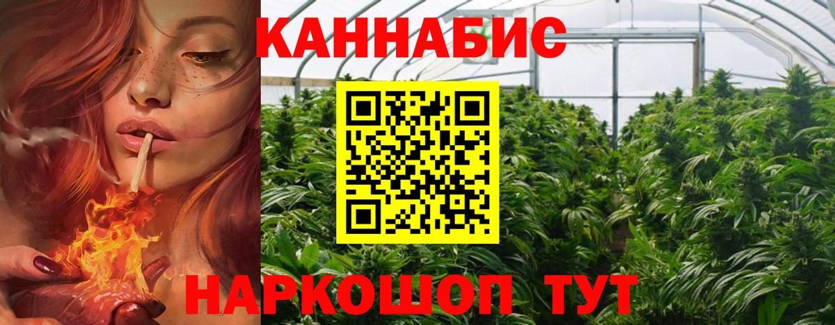 Марихуана Bruce Banner Пугачёв